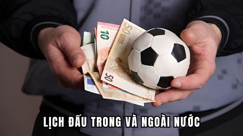 Lịch đấu trong và ngoài nước