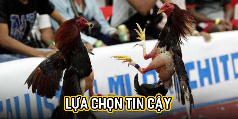 Lựa chọn tin cậy