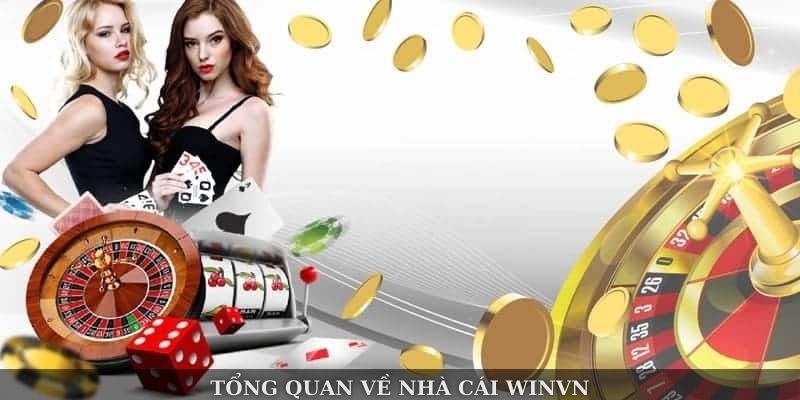 Tổng quan về nhà cái Winvn
