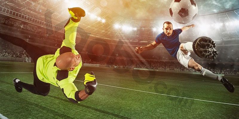 Những lý do mà thành viên nên tìm hiểu về tỷ lệ kèo nhà cái