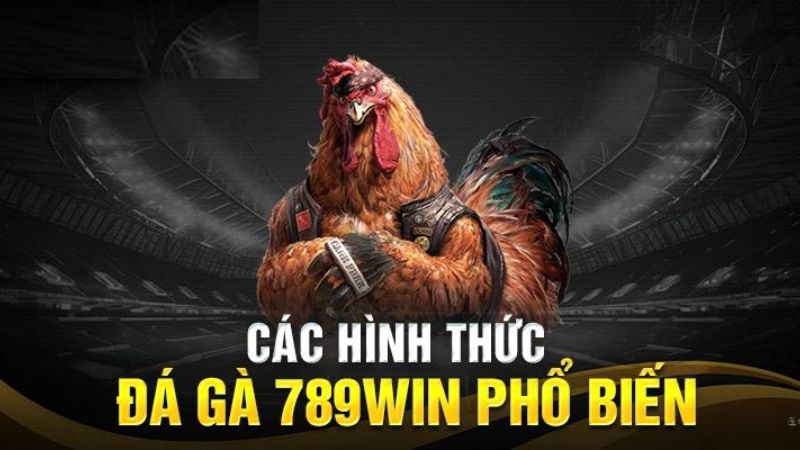 Những sảnh cược có tại đá gà 789win