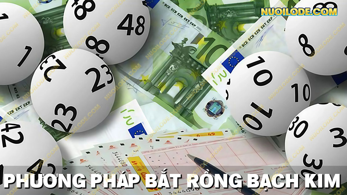 Chia sẻ phương pháp soi cầu chuẩn tại rồng bạch kim miễn phí