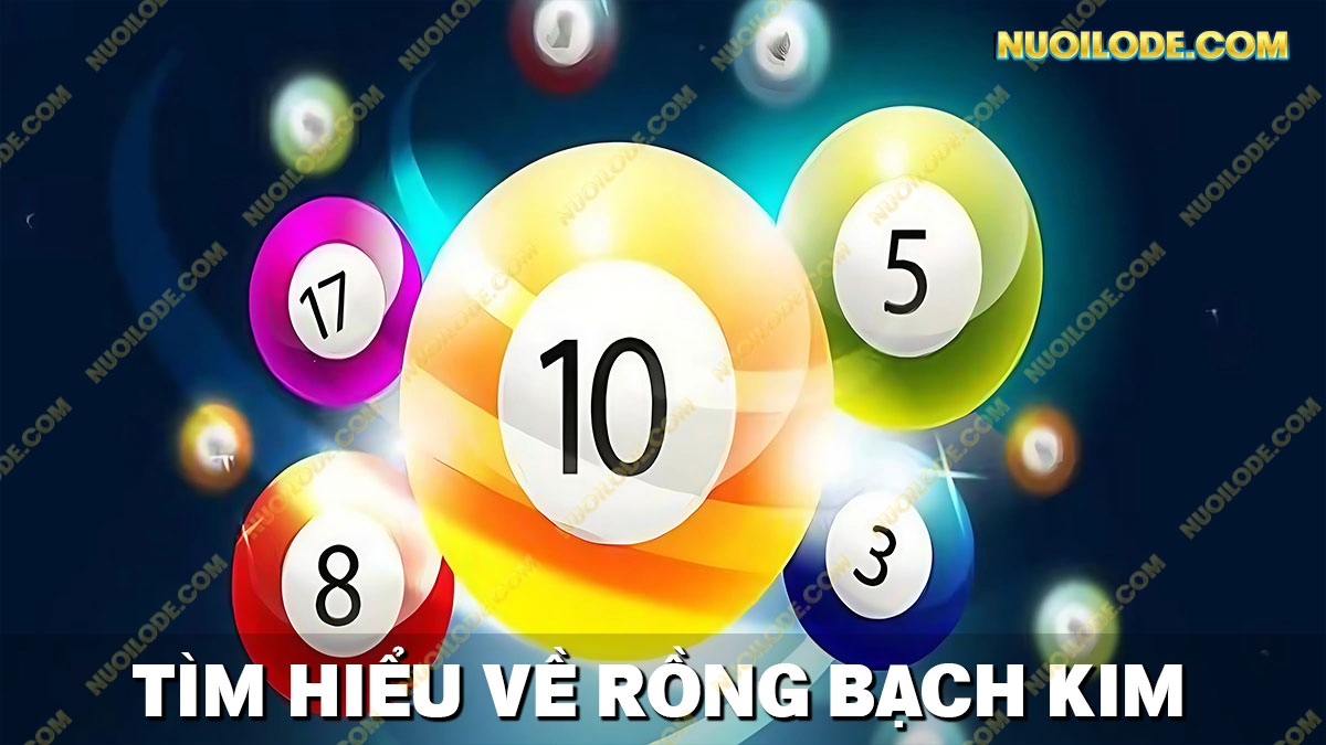 Tìm hiểu chi tiết về rồng bạch kim