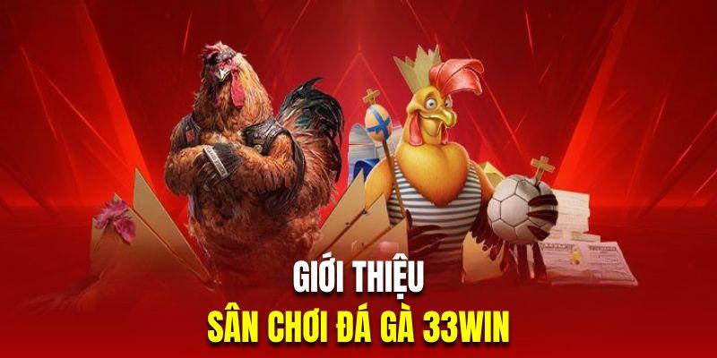 sảnh đá gà 33win