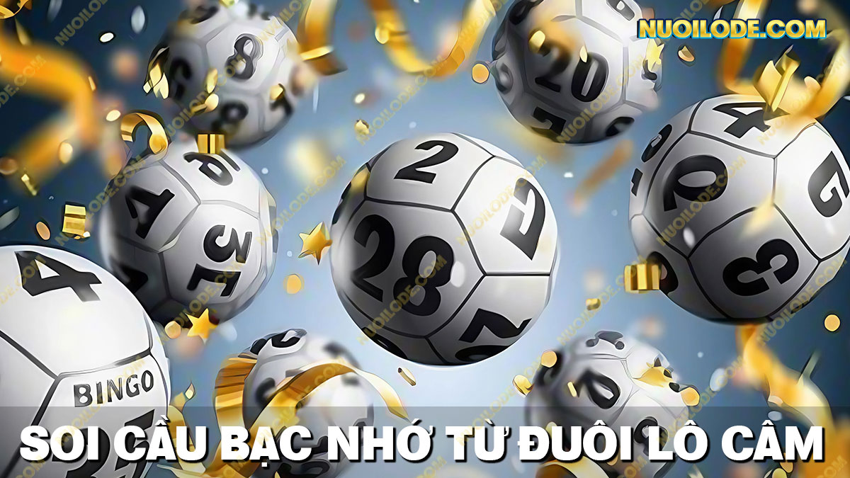 Hướng dẫn ưoi cầu bạc nhớ 247 theo đuôi lô câm