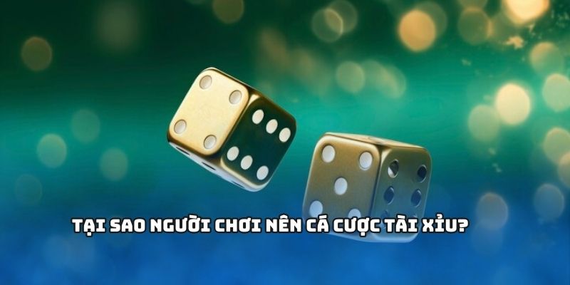 TÀI XỈU – Bí Quyết Chơi Hiệu Quả Và Cách Đọc Kèo Chuẩn Xác