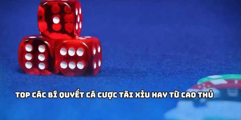 Tổng hợp những bí quyết cược kèo hay từ chuyên gia