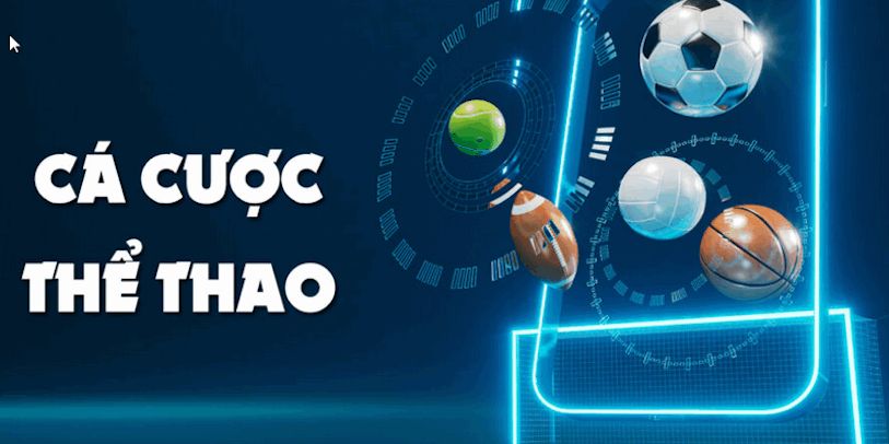 Thể Thao Winbet có hỗ trợ cá cược trực tiếp (live betting) không?