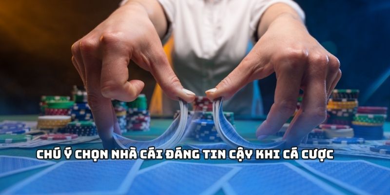 Chú ý chọn nhà cái đáng tin cậy khi cá cược