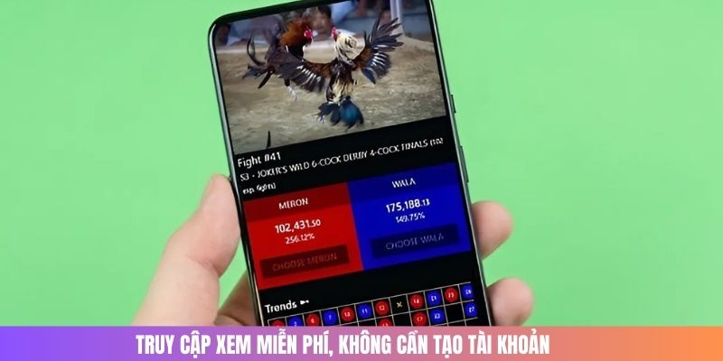 Xem đá gà chất lượng tại Trực Tiếp Savan miễn phí 100%