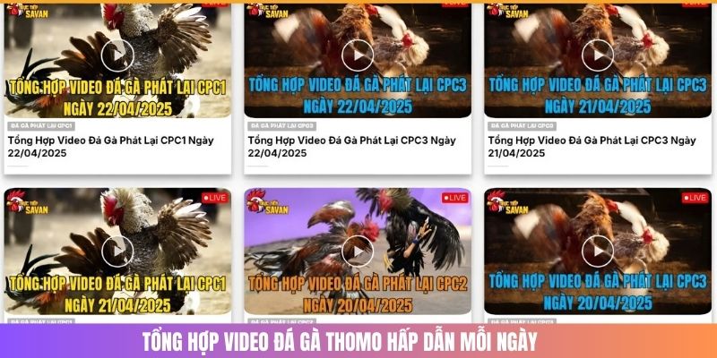 Nền tảng cung cấp tính năng tổng hợp video những trận đấu nổi bật