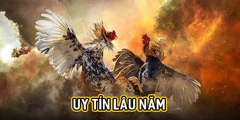 Uy tín lâu năm