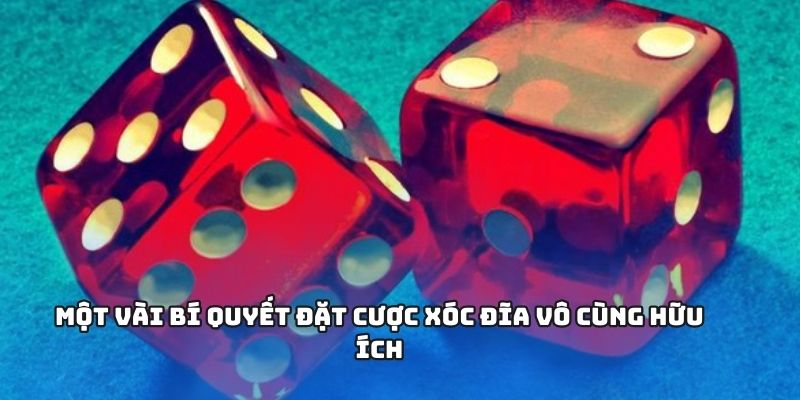 Những bí quyết cá cược chuẩn xác từ các cao thủ