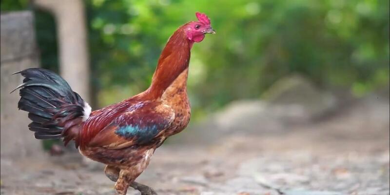 8DAY có cách tối ưu chơi mọi máy