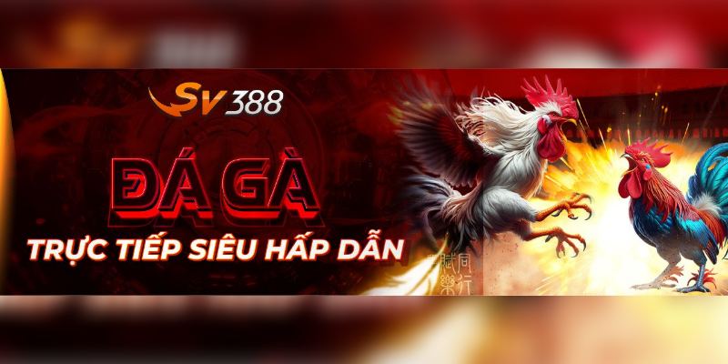 Đá gà là tựa game chủ chốt tại hệ thống SV388