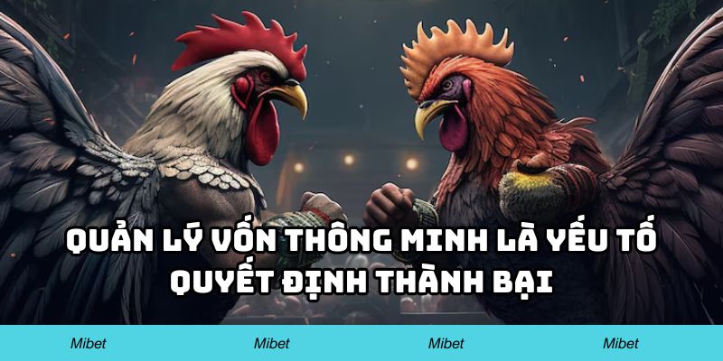 Quản lý vốn thông minh là yếu tố quyết định thành bại