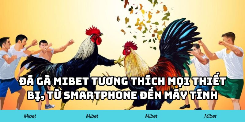 Đá gà Mibet tương thích mọi thiết bị, từ smartphone đến máy tính bảng