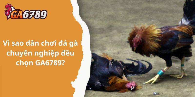 GA6789 – sàn đấu rực lửa dành cho anh em