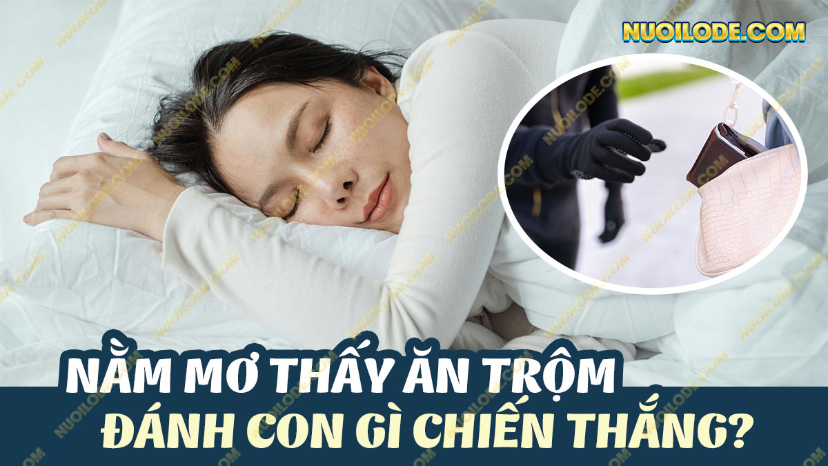 Hình ảnh Giải mã giấc mơ thấy ăn trộm – Mơ thấy mình đi ăn trộm đánh gì?