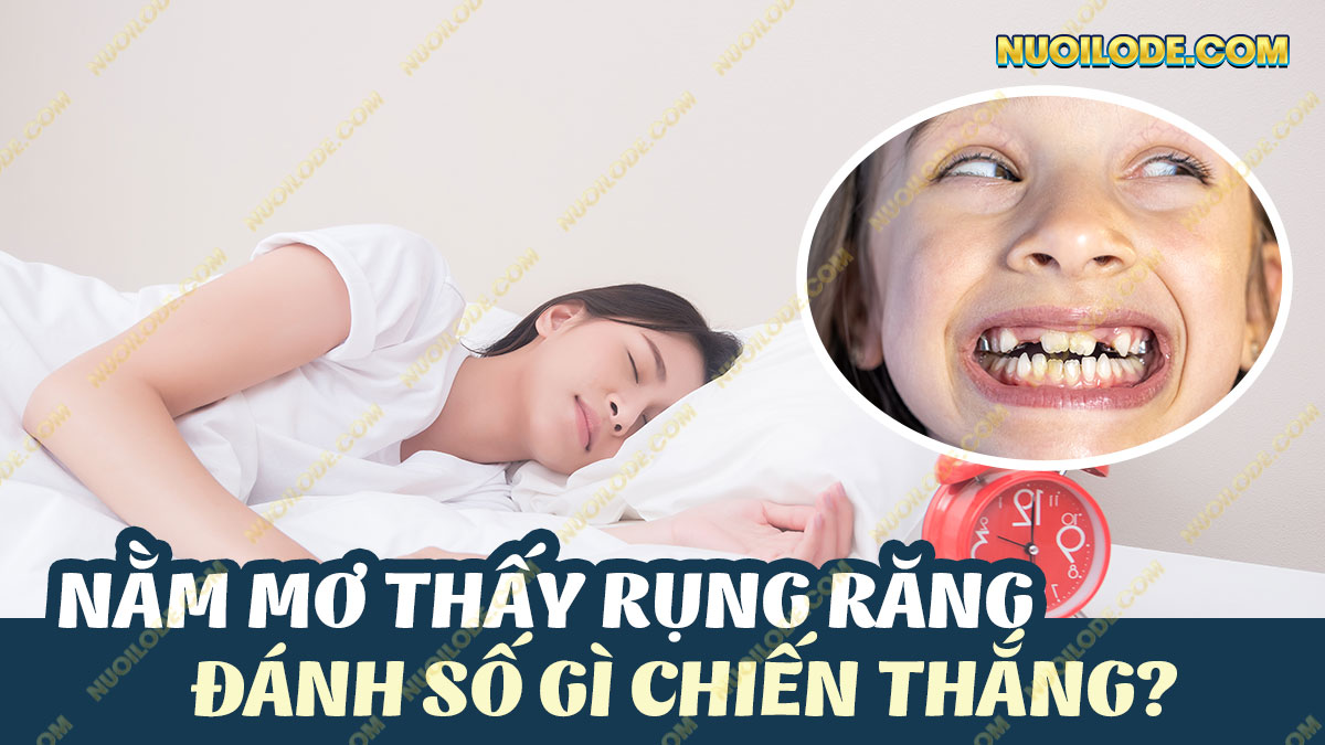 Hình ảnh Mơ thấy rụng răng – Nằm mơ thấy rụng răng đánh con gì thắng?