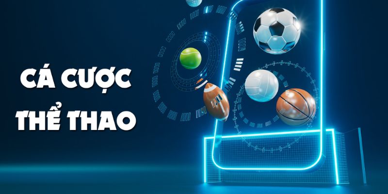 Sảnh thể thao đa dạng – không chỉ có bóng đá
