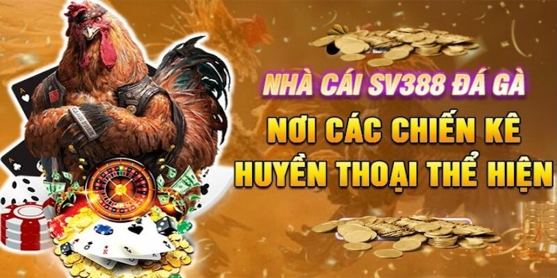 SV388 – Thương hiệu uy tín hàng đầu trong làng đá gà online