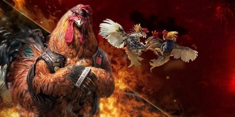 Ưu điểm của việc chơi đá gà tại trang chủ nhà cái 98Win