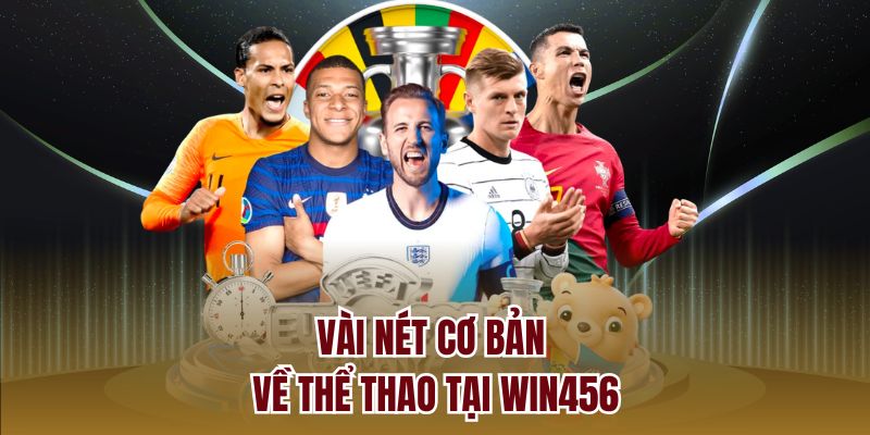 Thể thao là lựa chọn giải trí hàng đầu của bet thủ trên thị trường trực tuyến