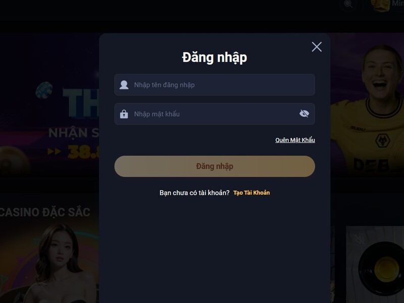 Nhập thông tin tài khoản