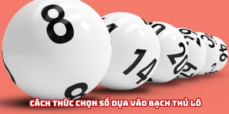 Bạch thủ lô – Bí quyết giúp bạn chinh phục tỷ lệ trúng cao