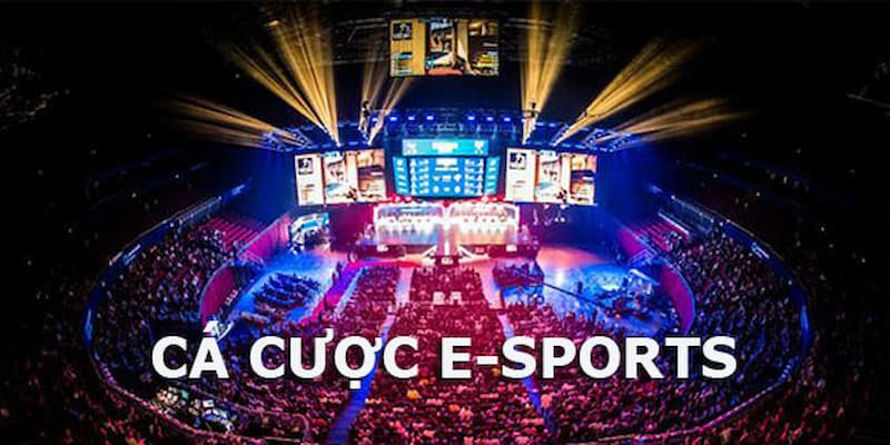 Mẹo cá cược Esport đỉnh cao trên BetVisa