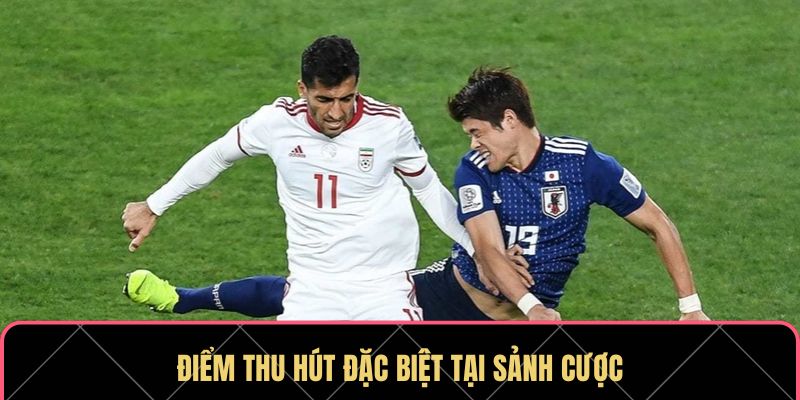 Điểm thu hút đặc biệt tại sảnh cược