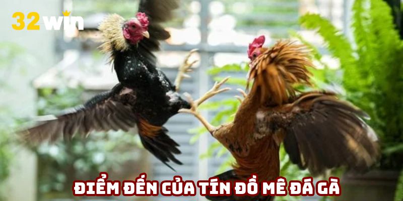 Đá gà tại 32WIN – Trận địa máu lửa, kịch tính từng nhịp cược
