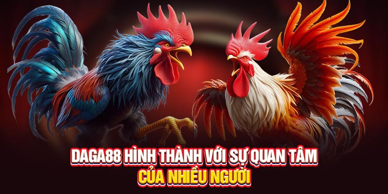 Đá gà DAGA88 là gì? Vì sao lại gây sốt trong cộng đồng cược thủ?