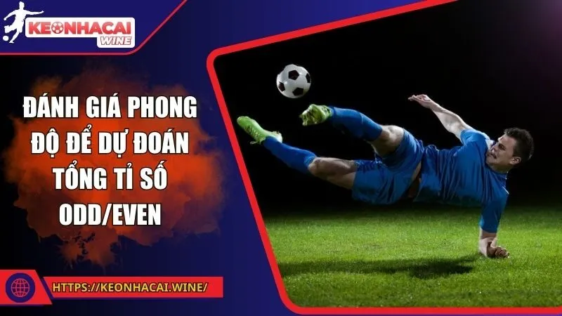 Kèo chẵn lẻ tại kèo nhà cái: lựa chọn thông minh cho người mới bắt đầu