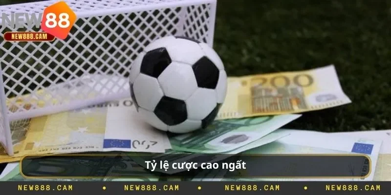 Khám phá sảnh thể thao new88: điểm hẹn đỉnh cao cho tín đồ cá cược