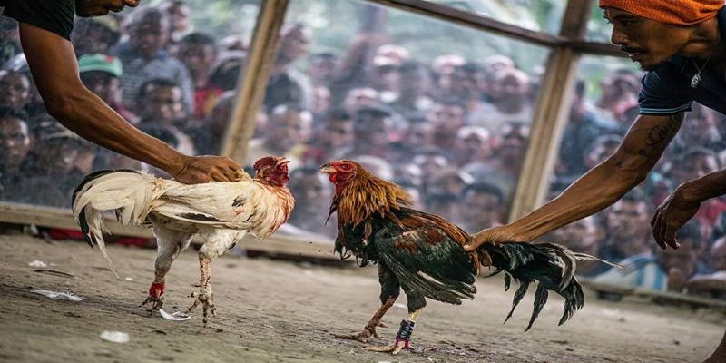 Vào sảnh game ngay liền