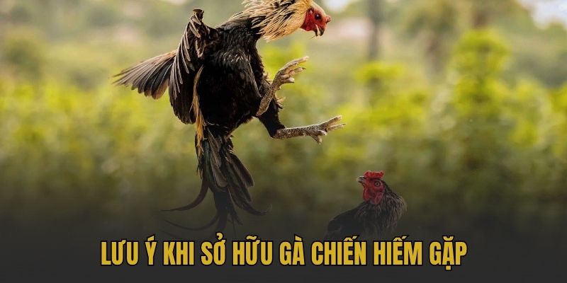 Khám Phá Những Dị Tướng Linh Kê Hiếm Gặp Và Bất Bại