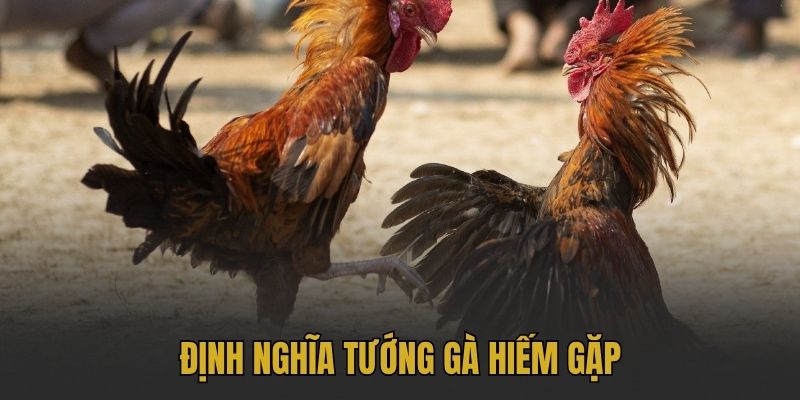 Định nghĩa tướng gà hiếm gặp