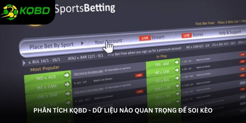 Phân tích KQBD - Dữ liệu nào quan trọng để soi kèo