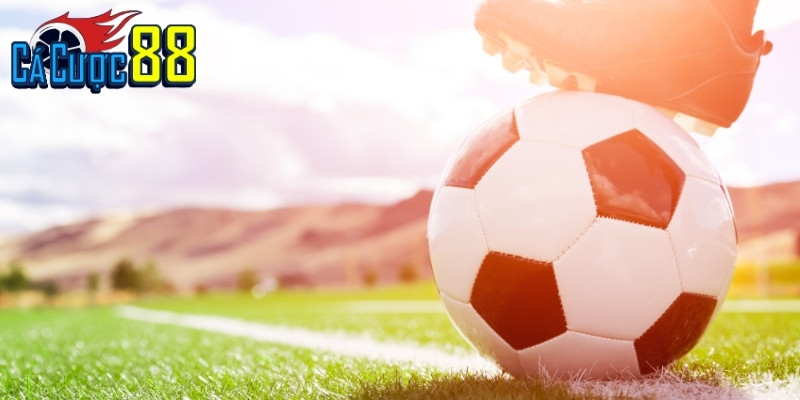 Sin88 là nền tảng cá cược bóng đá chuyên biệt với tính năng nổi bật