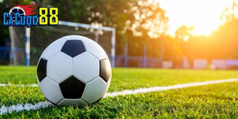 Danh Sách Top 10 Trang Cá Cược Bóng Đá Đang Làm Mưa Làm Gió